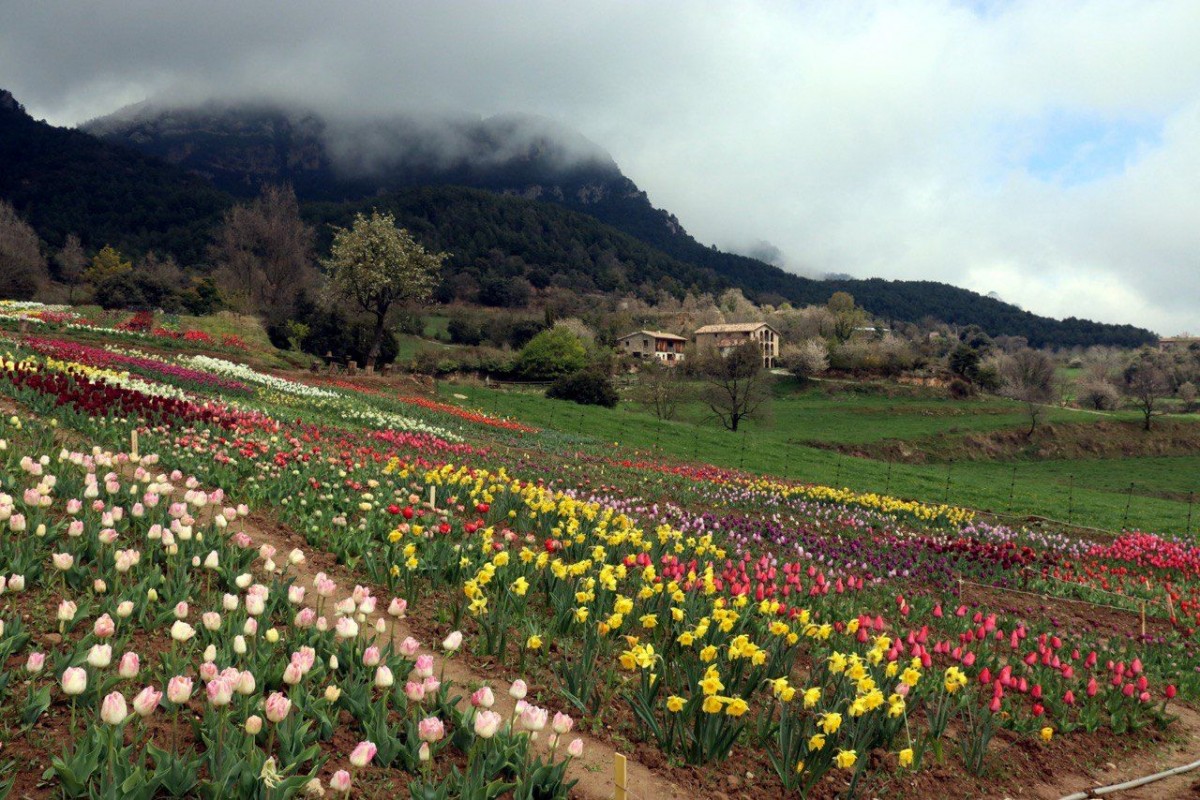 Capolat (Berguedà)