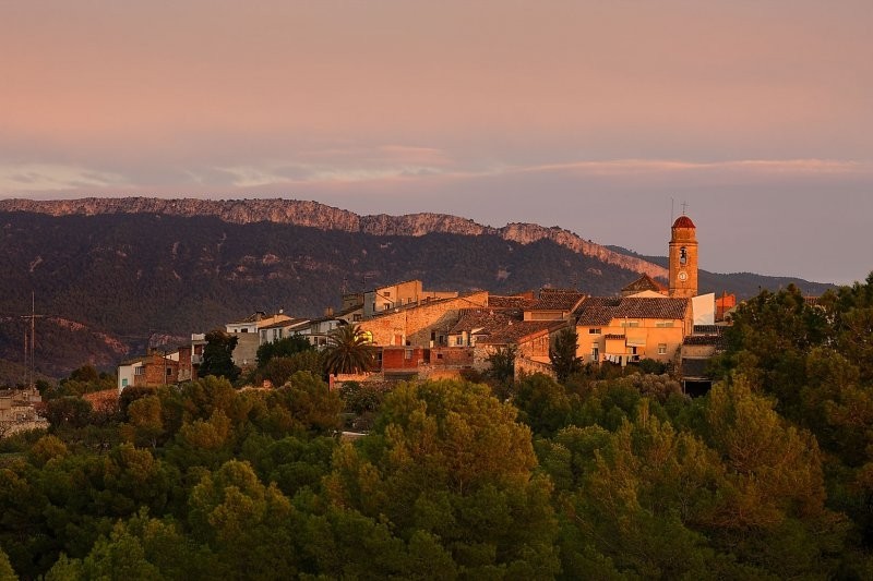 Els Guiamets (Priorat)