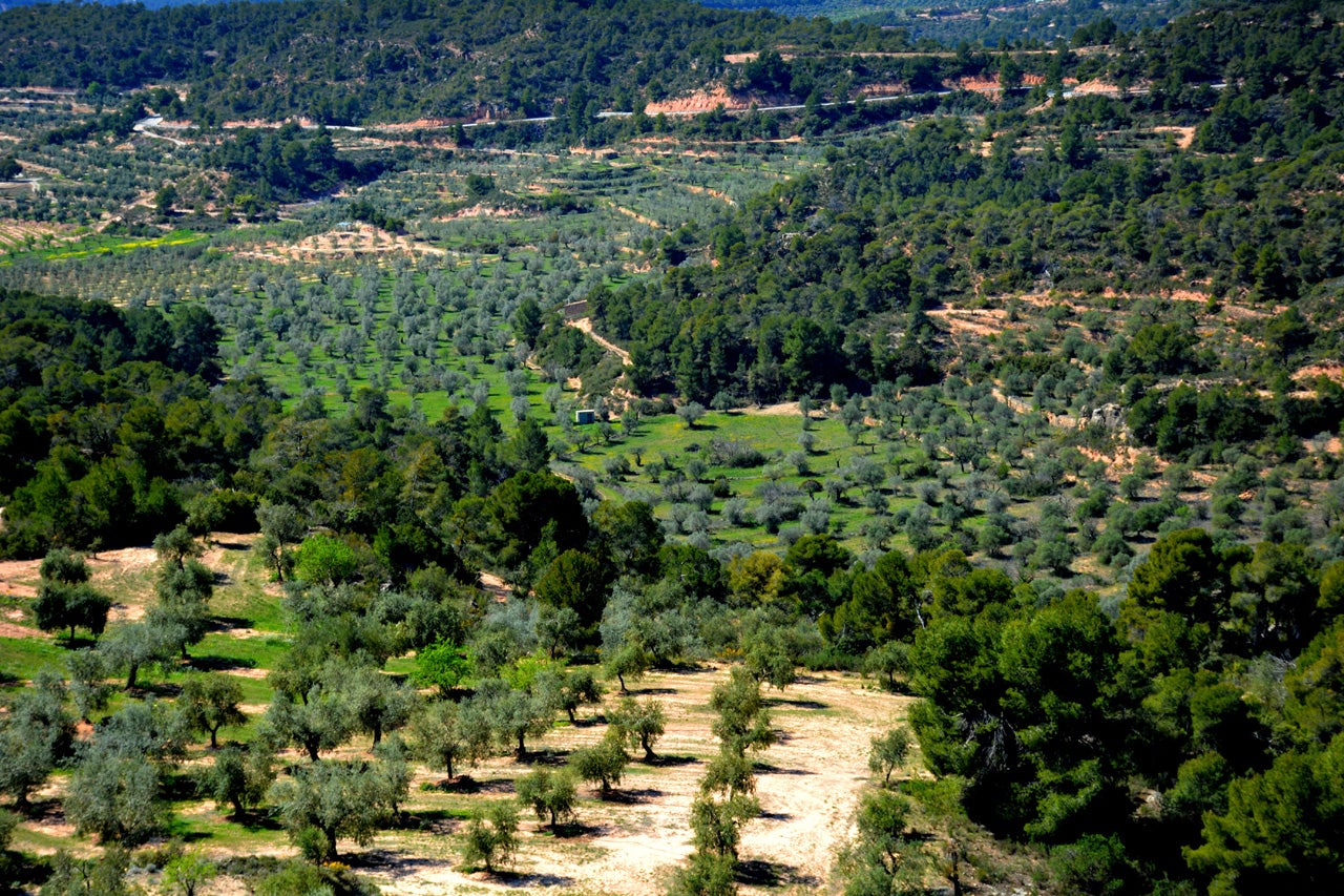 Els Torms (Garrigues)