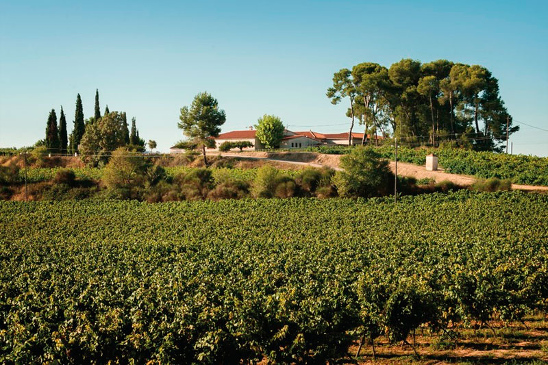 Font-rubí (Alt Penedès)