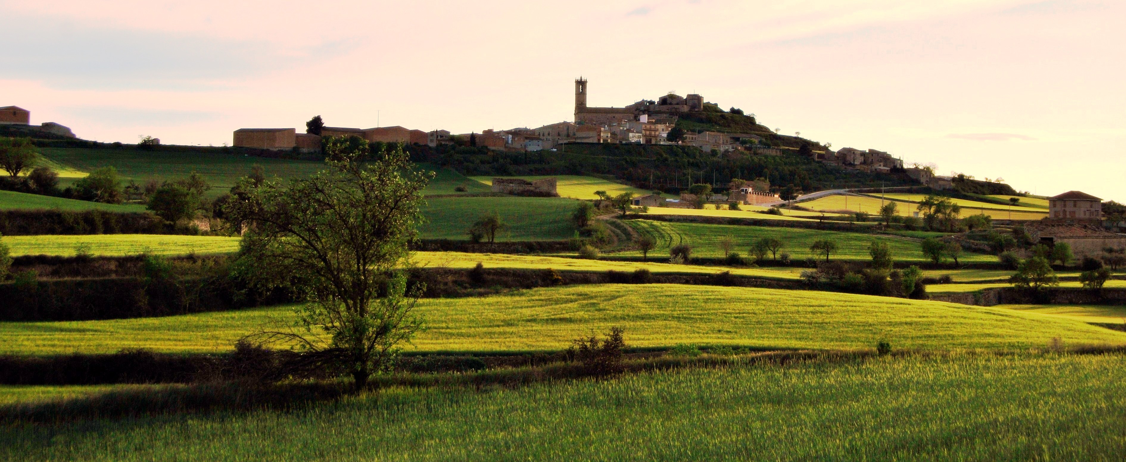 Granyena de Segarra (Segarra)