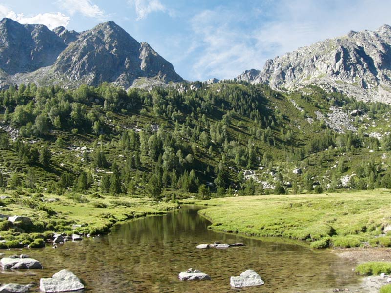 Olvan (Berguedà)