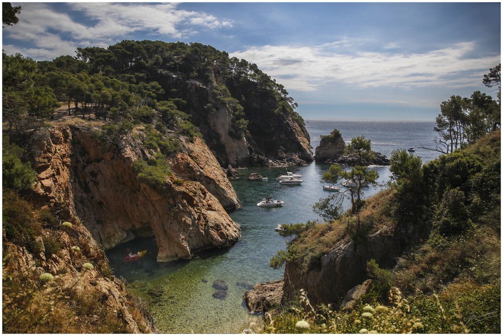 Palamós (Baix Empordà)