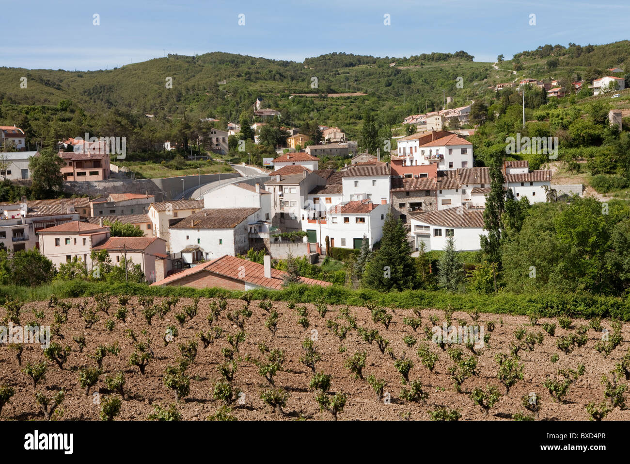 Pontons (Alt Penedès)