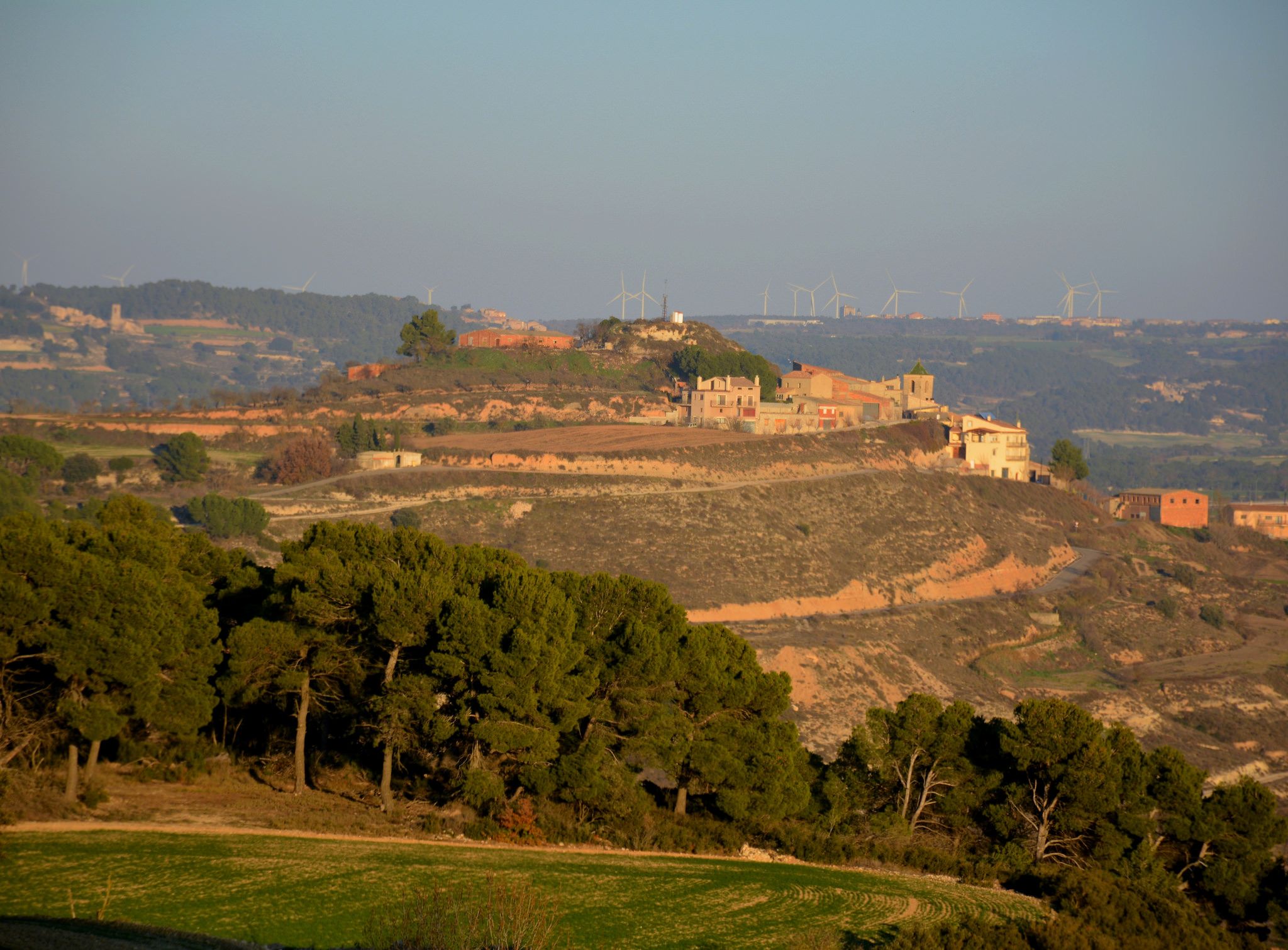 Ribera d'Ondara (Segarra)