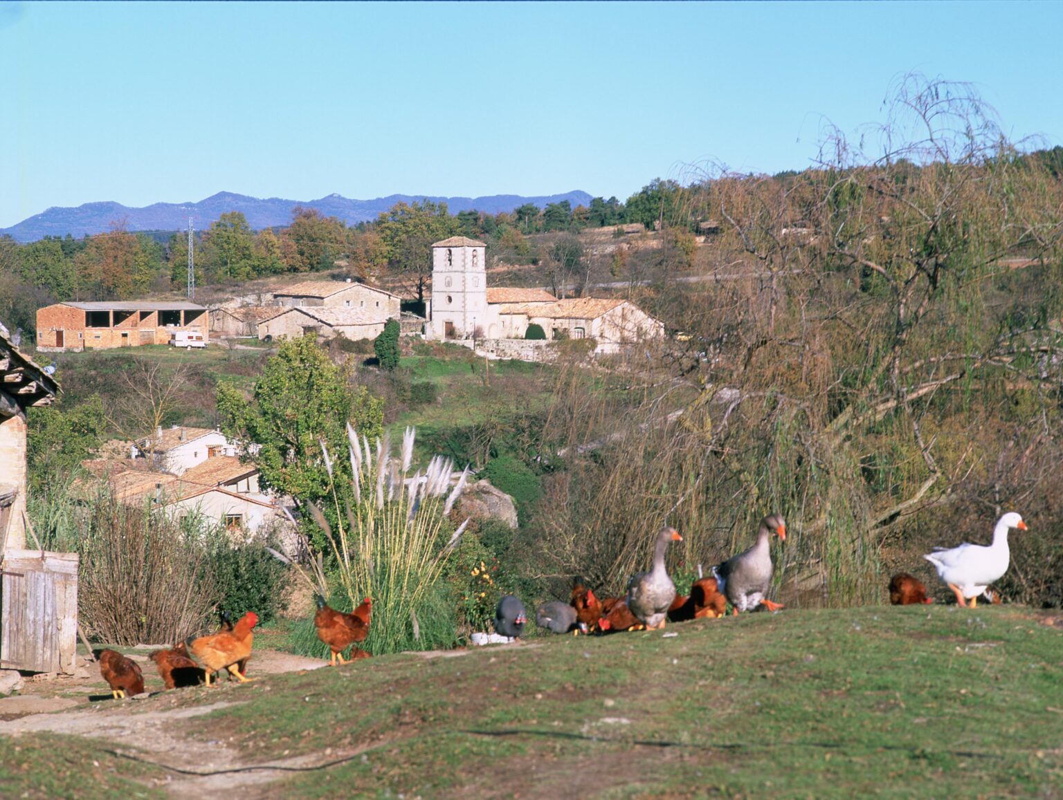 Sobremunt (Osona)