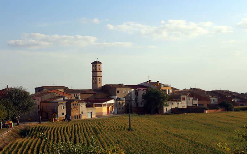 Torre-serona (Segrià)