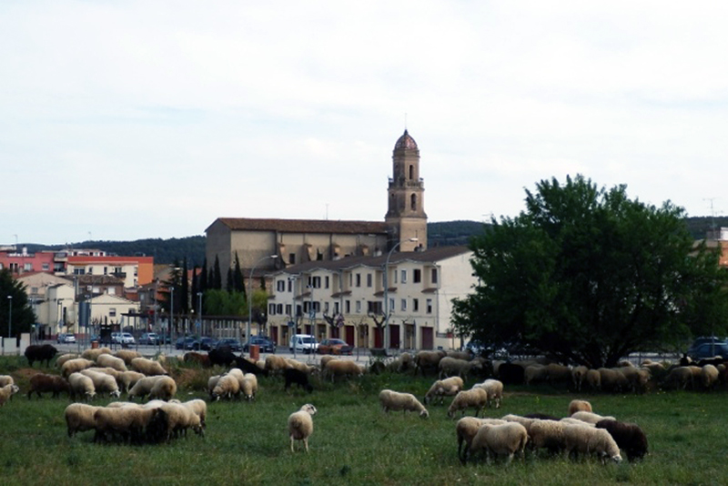 Torrelles de Foix (Alt Penedès)