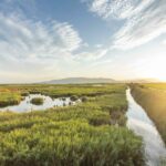 La màgia del Delta de l’Ebre: Un paradís per descobrir