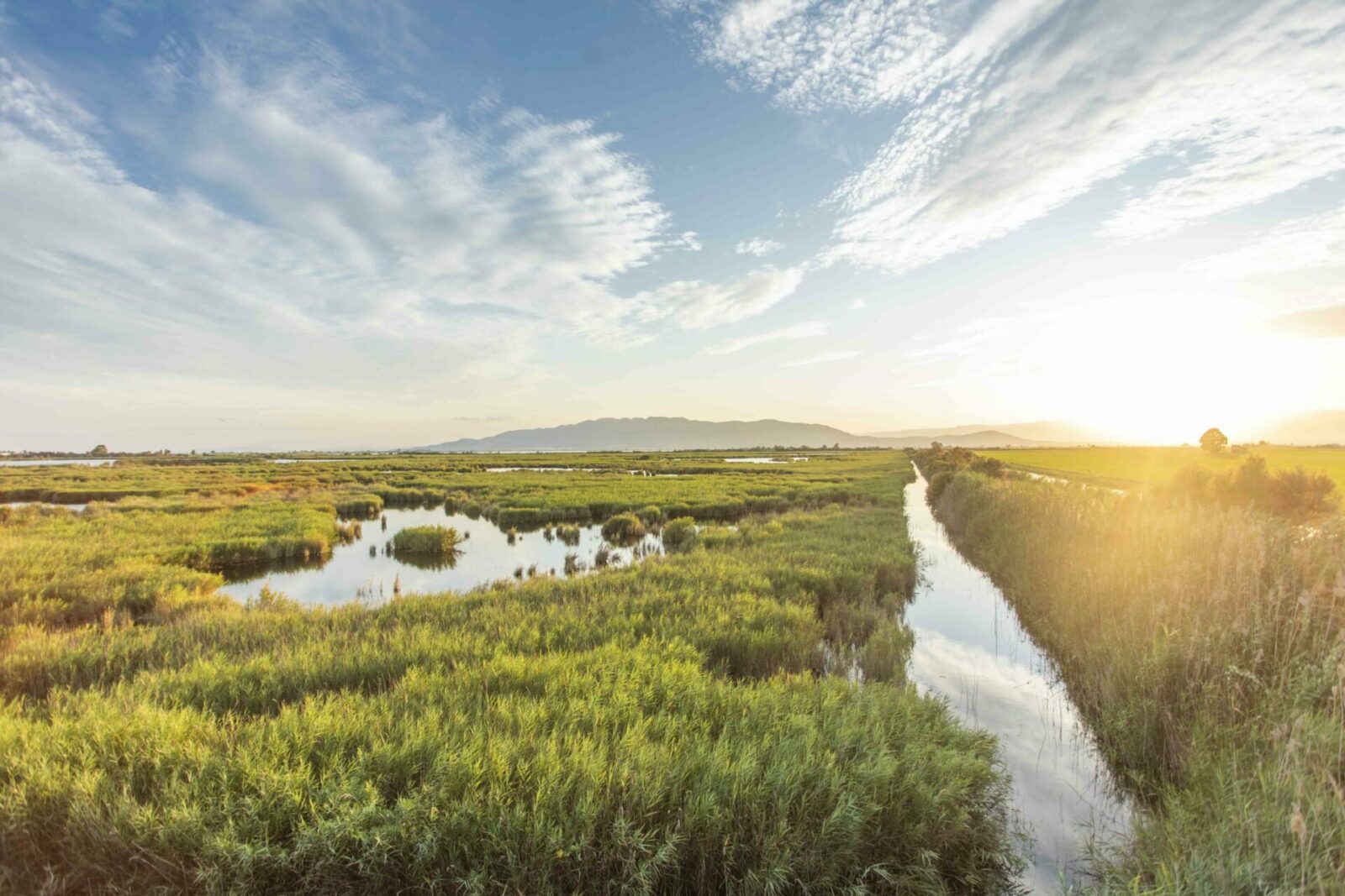 La màgia del Delta de l'Ebre: Un paradís per descobrir